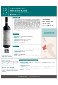 Nebbiolo d'Alba 2022 Product Sheet